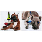 I Like What I Like & Happy Hour